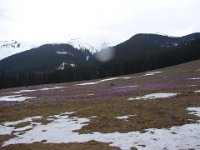 DSC00079