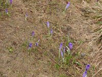 DSC00081