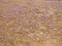 DSC00092