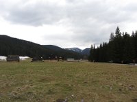 IMG 0637