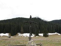 IMG 0638