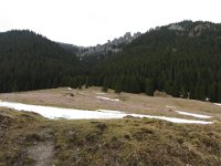IMG 0653