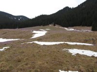 IMG 0655
