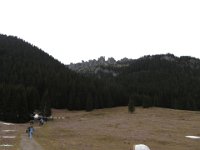IMG 0657
