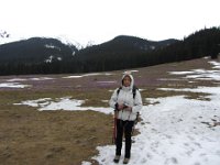 IMG 0658