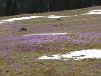 IMG 0659