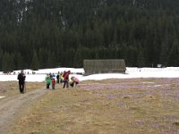 IMG 0660