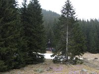 IMG 0661