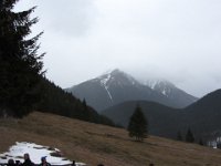 IMG 0671