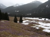 IMG 0682