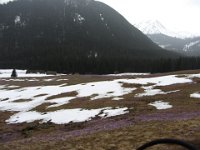 IMG 0683