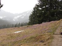 IMG 0684