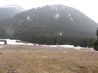 IMG 0686
