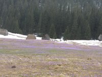 IMG 0687