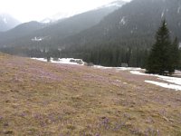 IMG 0688
