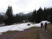 IMG 0689