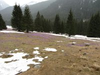 IMG 0691