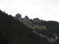 IMG 0692