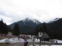 IMG 0695