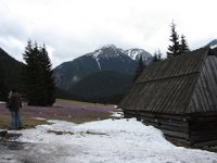 IMG 0696