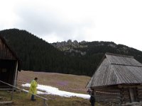IMG 0697