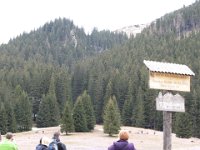 IMG 0698
