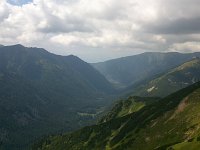 DSC 0037