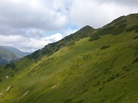 DSC 0038