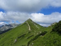 IMG 2786