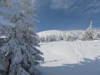 IMG 2573