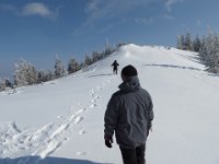 IMG 2586