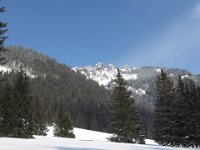 IMG 2602