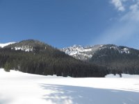 IMG 2604