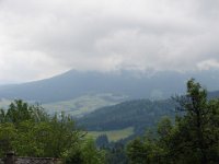 DSC07557