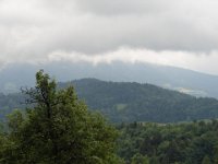DSC07558
