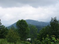 DSC07561