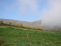 DSC08280