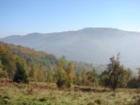 DSC08284