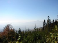DSC08291