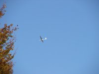 DSC08321