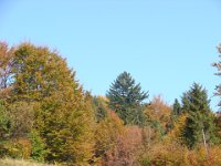 DSC08323
