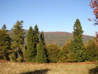 DSC08328