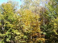 DSC08333