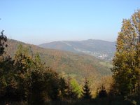 DSC08339
