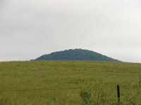DSC08832
