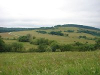 DSC08833