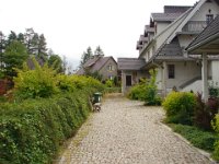 DSC08895