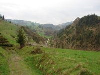 DSC07498