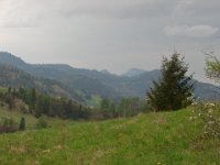 DSC07501