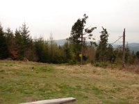 DSC07513